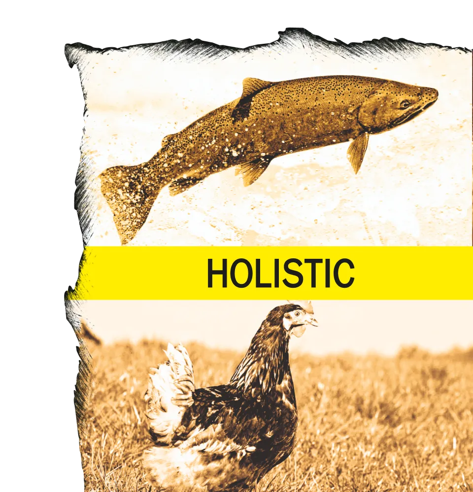 Фото 4 AMBROSIA Adult Mini Breeds Fresh Salmon & Chicken