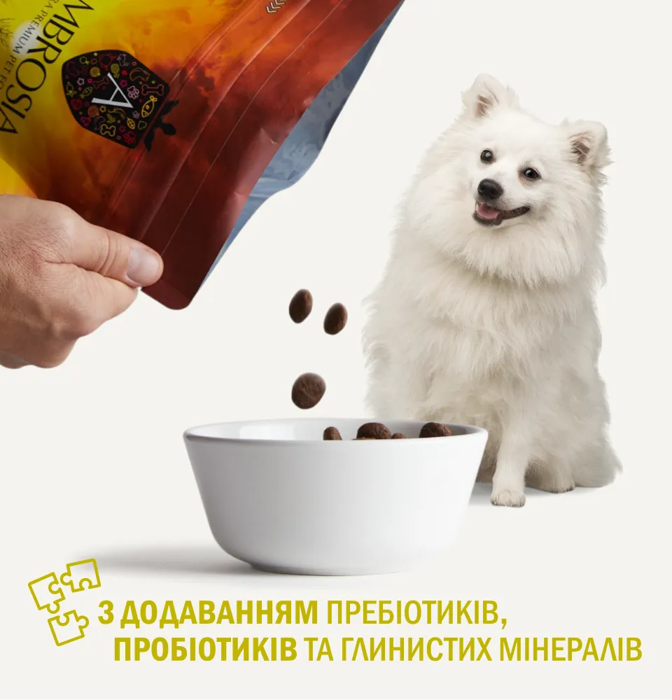 Фото 5 AMBROSIA Adult Mini Breeds Fresh Salmon & Chicken