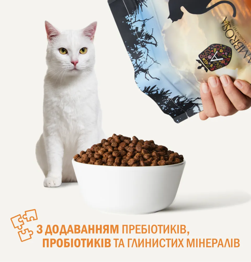 Фото 5 AMBROSIA Grain Free Cat Fresh Salmon & Chicken