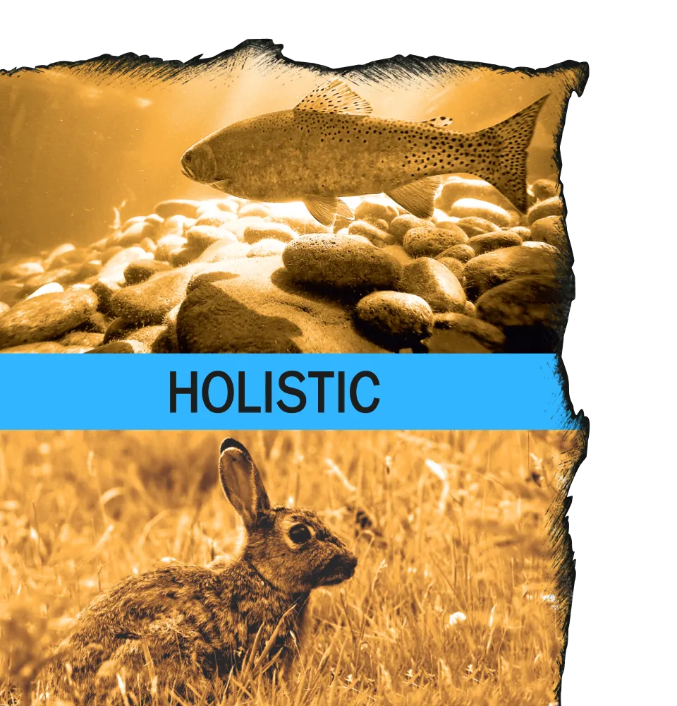 Фото 4 AMBROSIA Grain Free Cat Fresh Trout & Rabbit