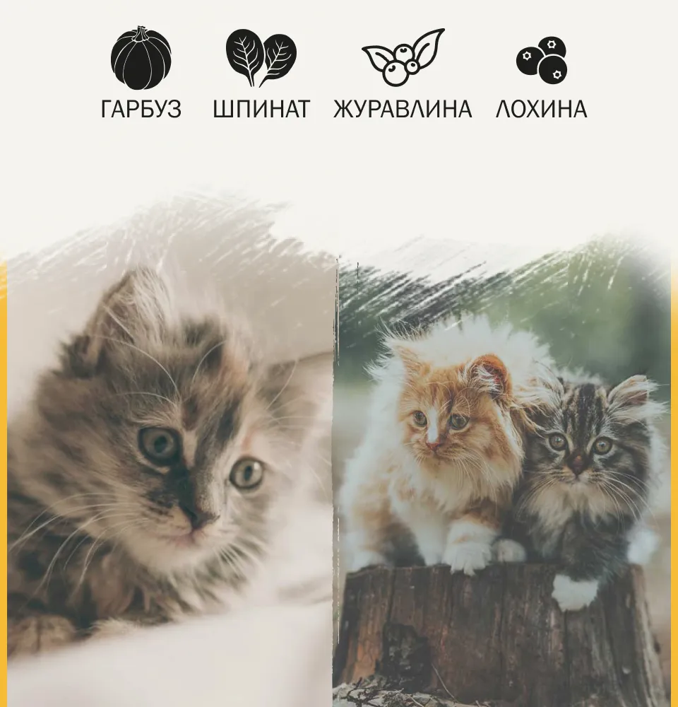 Фото 2 AMBROSIA Grain Free Kitten & Cat Fresh Turkey & Chicken