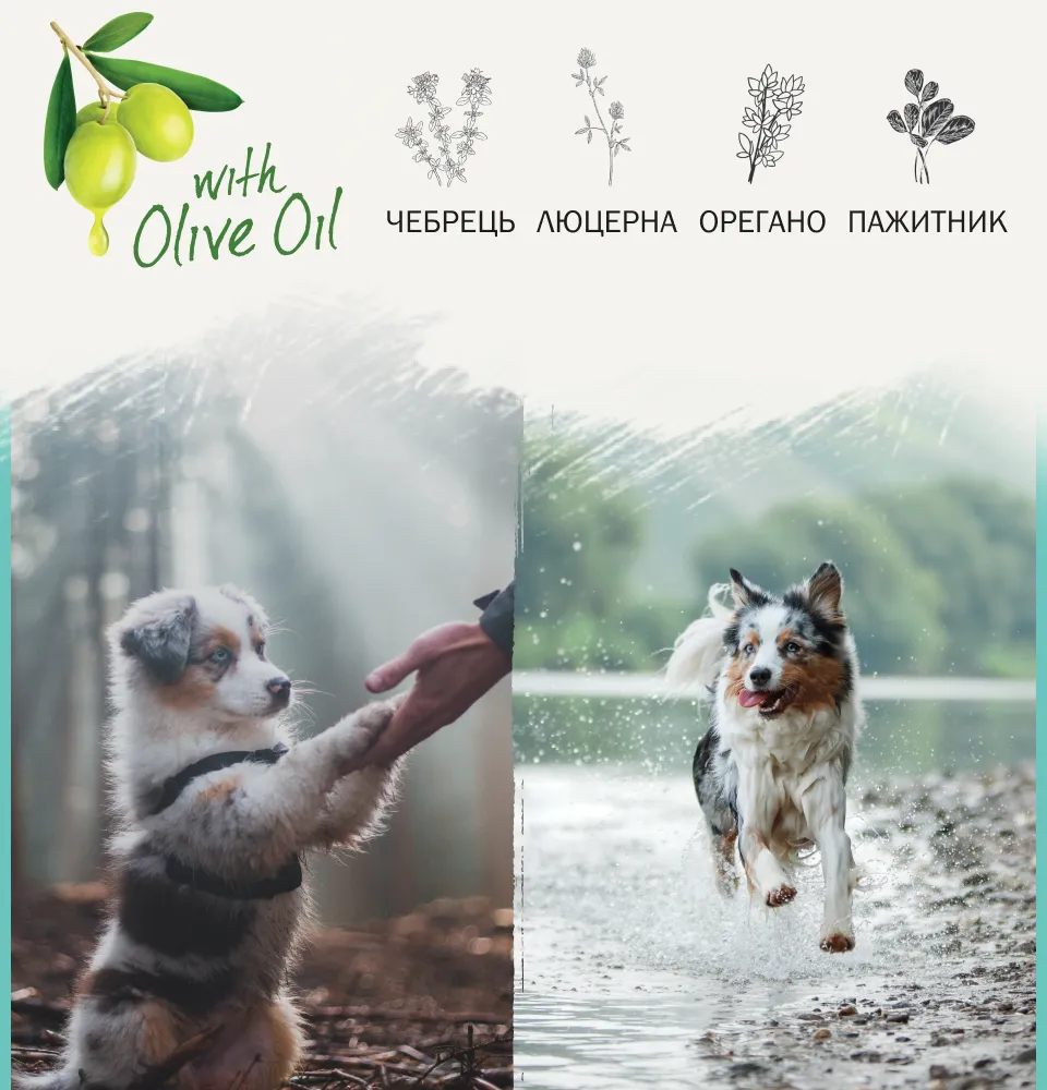 Фото 2 AMBROSIA Mediterranean Diet Puppy Fresh Sardine & Herring