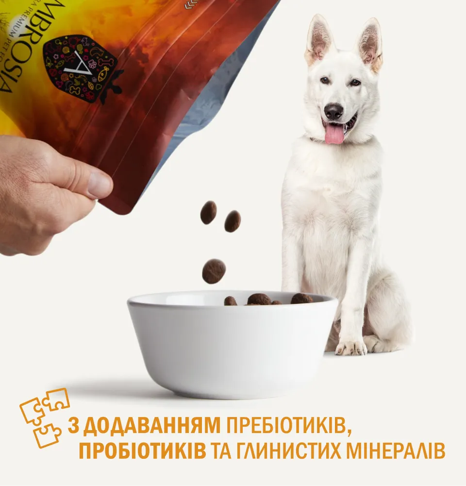 Фото 5 Ambrosia Grain Free Dog Adult Chicken & Fresh Salmon