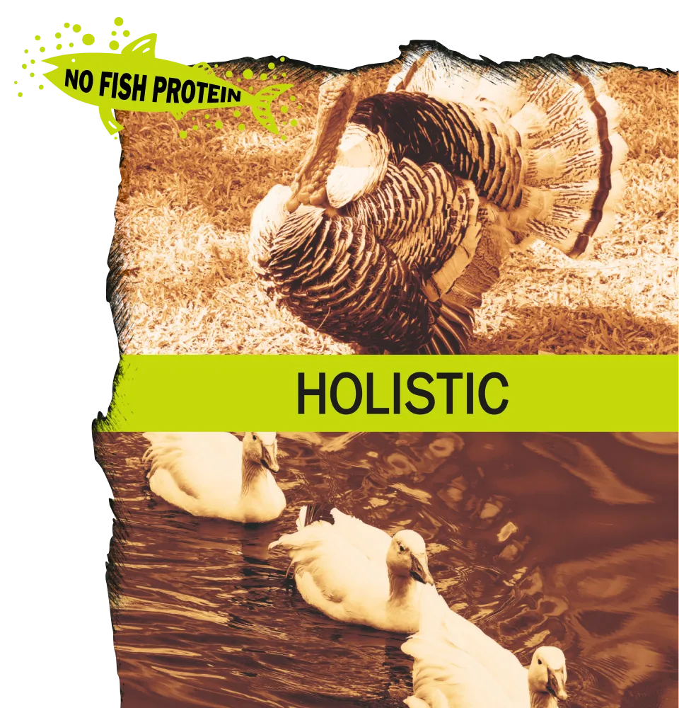 Фото 4 Ambrosia Grain Free Dog Adult Fresh Turkey & Duck