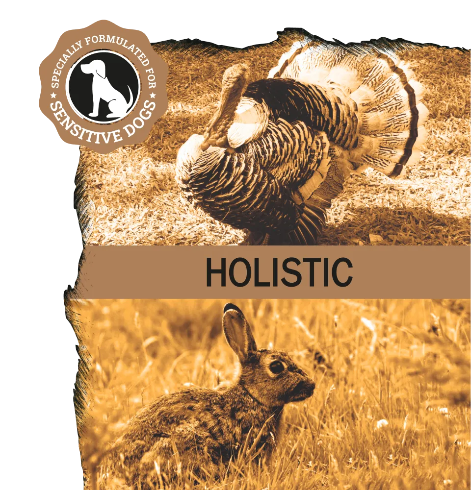 Фото 4 Ambrosia Grain Free Dog Fresh Turkey & Rabbit