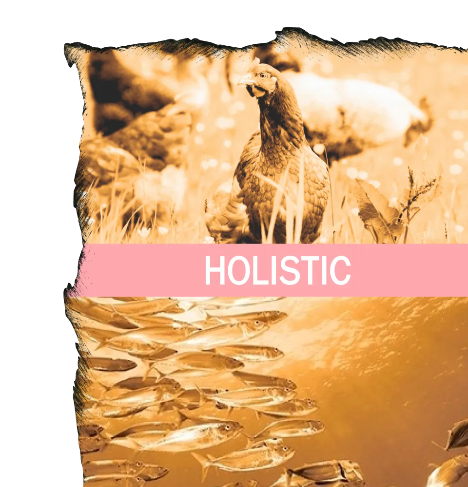 Фото 4 Ambrosia паштет