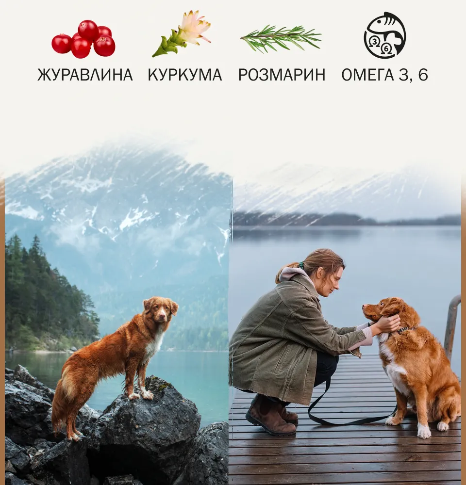 Фото 2 Ambrosia шматочки в паштеті