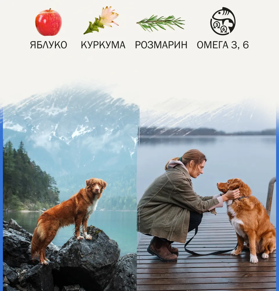 Фото 2 Ambrosia шматочки в паштеті