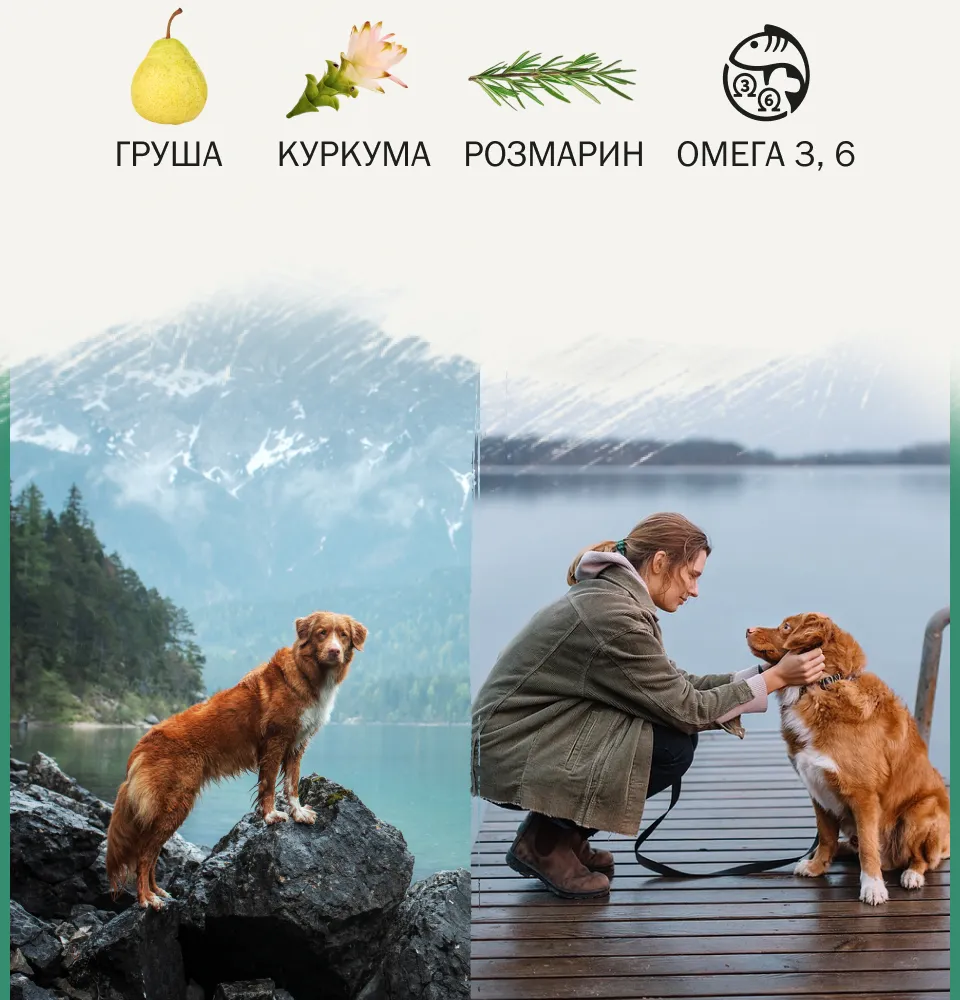 Фото 2 Ambrosia шматочки в паштеті