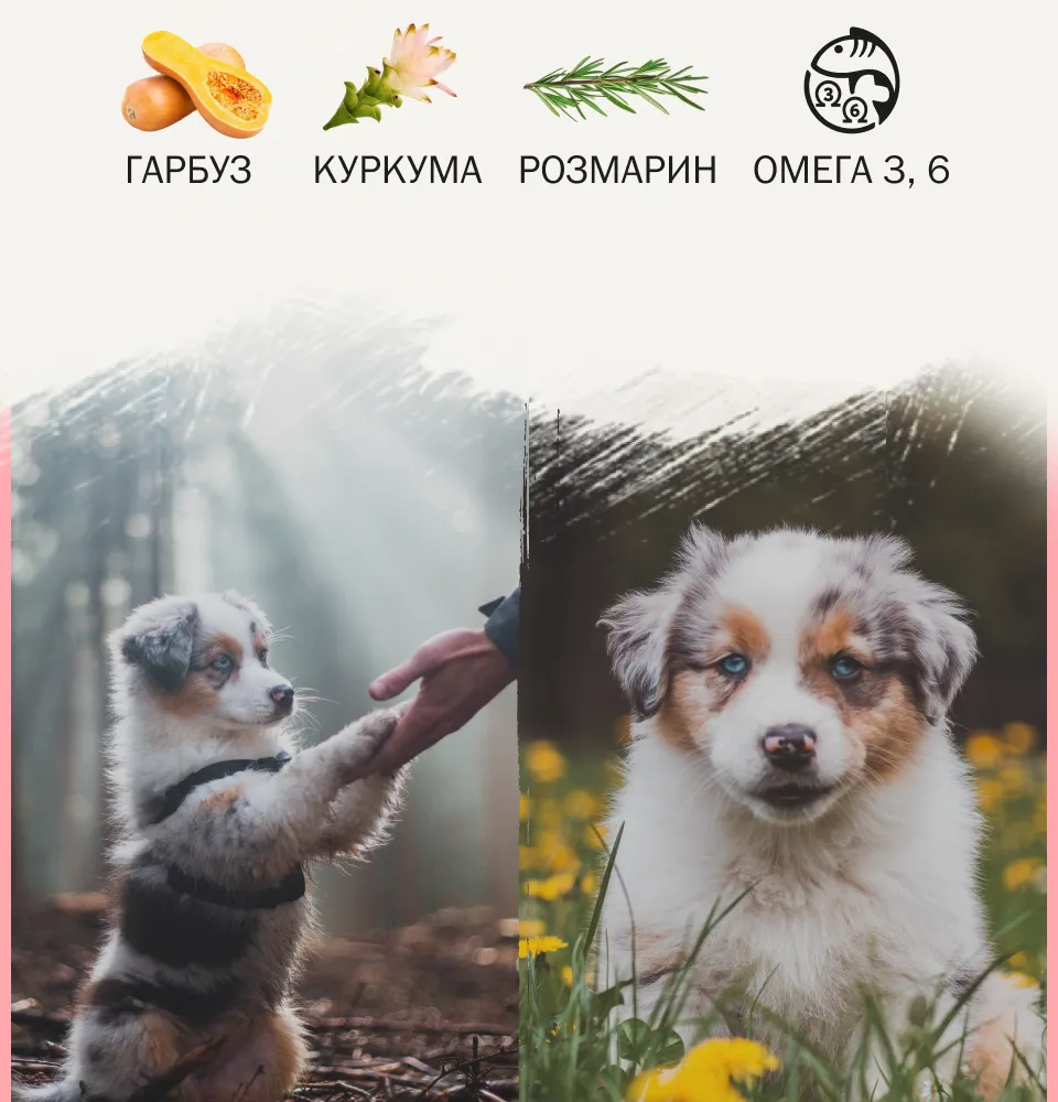 Фото 2 Ambrosia шматочки в паштеті
