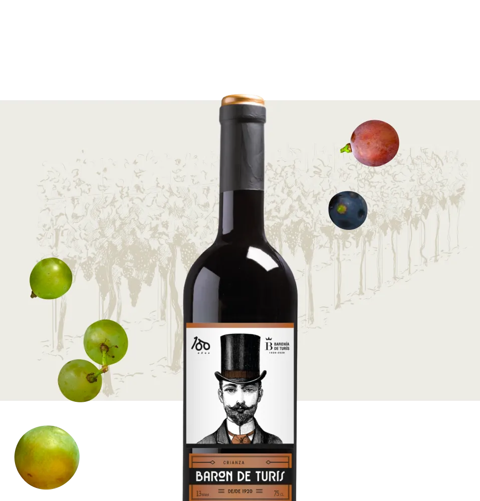 Фото 2 Baron de Turis Crianza DOP Valencia 2020