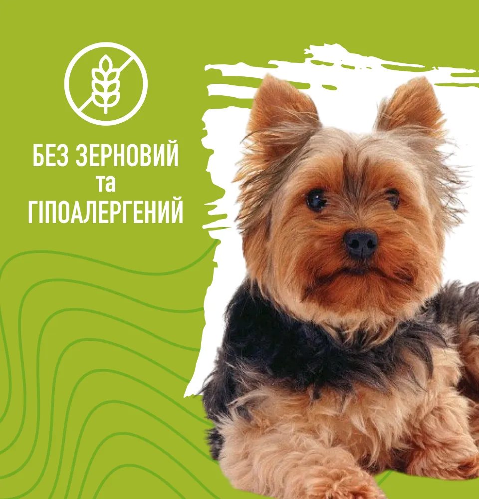 Фото 3 Bastteto Holistic