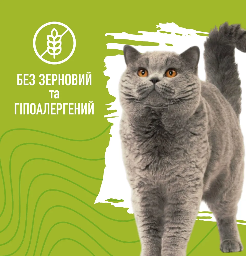 Фото 3 Bastteto Holistic