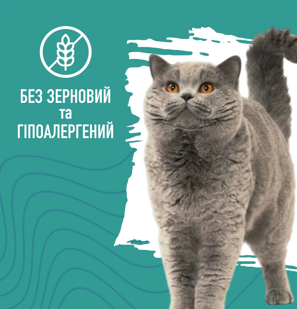 Фото 3 Bastteto Holistic