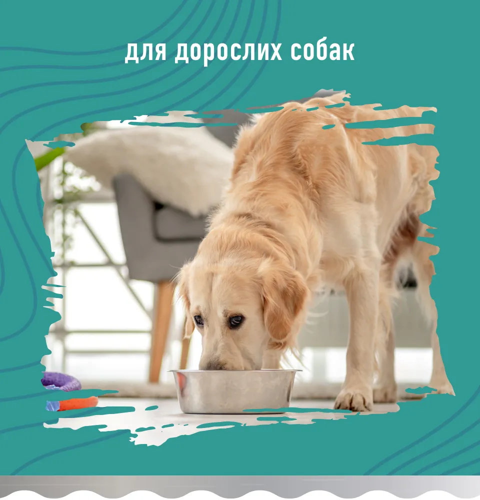 Фото 2 Bastteto Holistic