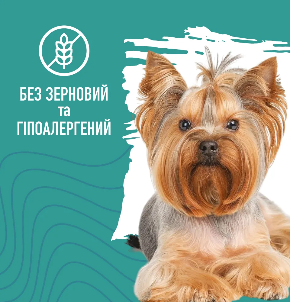 Фото 3 Bastteto Holistic