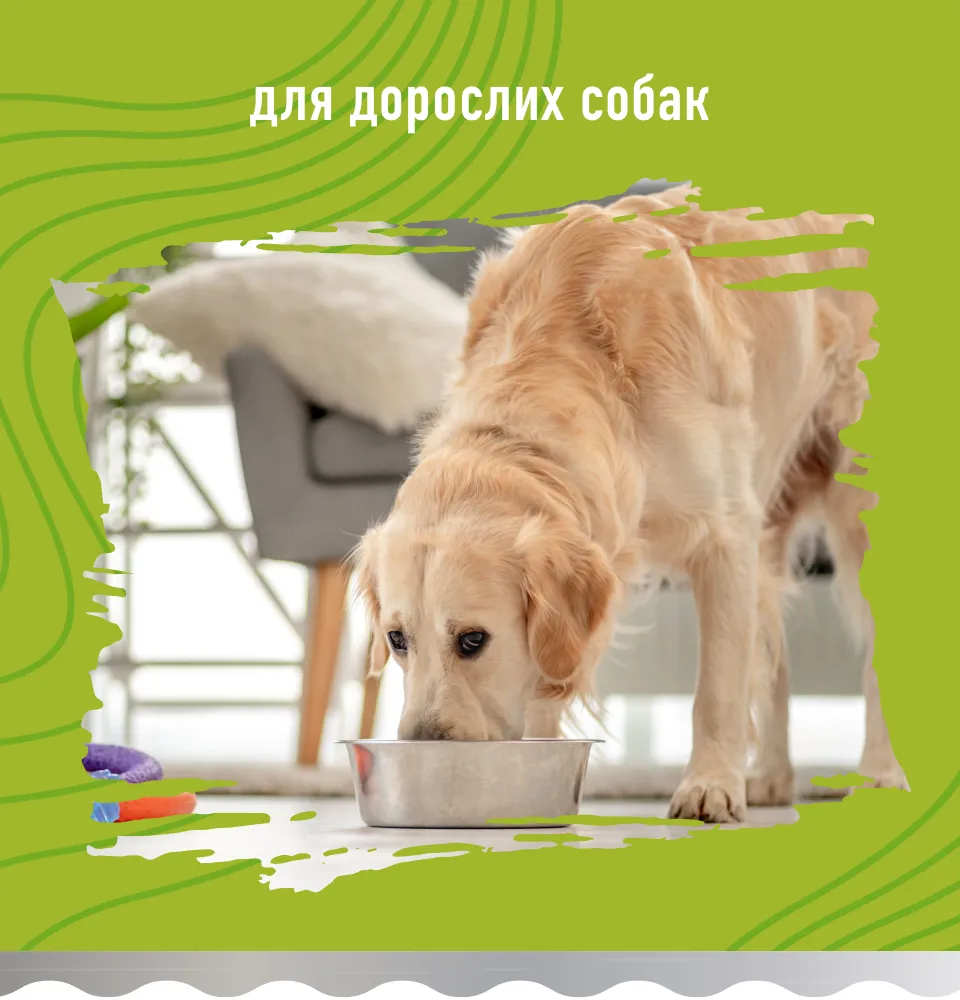 Фото 2 Bastteto Holistic