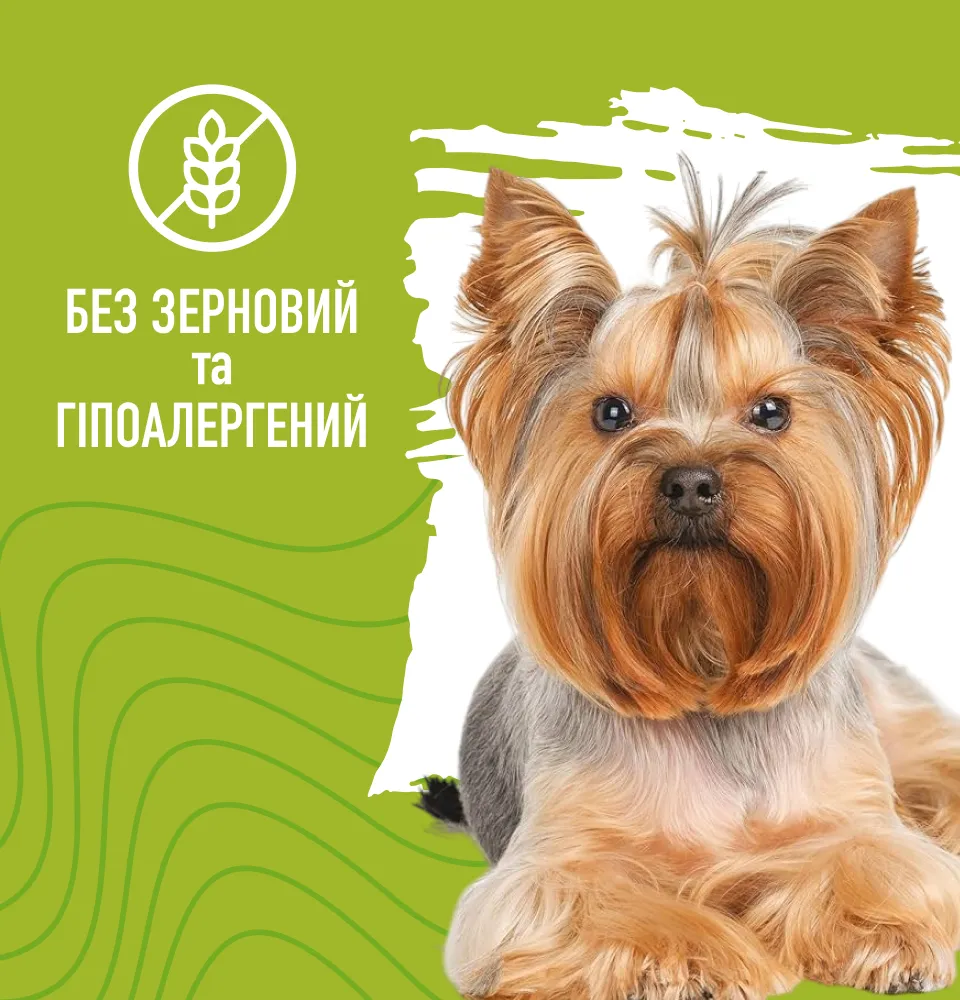 Фото 3 Bastteto Holistic