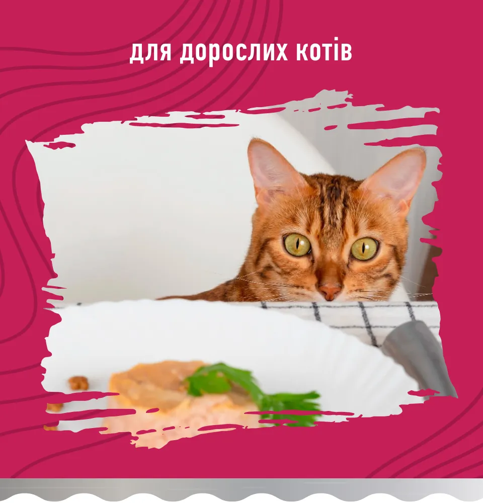 Фото 2 Bastteto Holistic