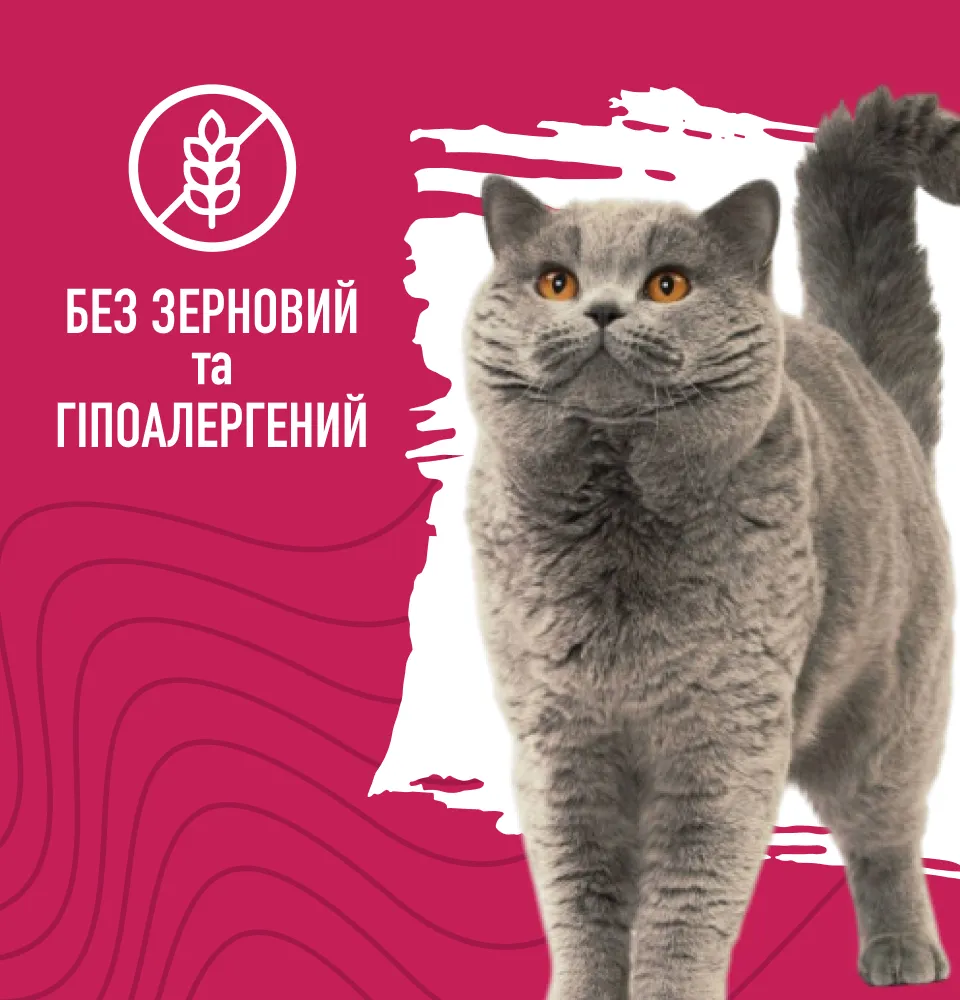 Фото 3 Bastteto Holistic