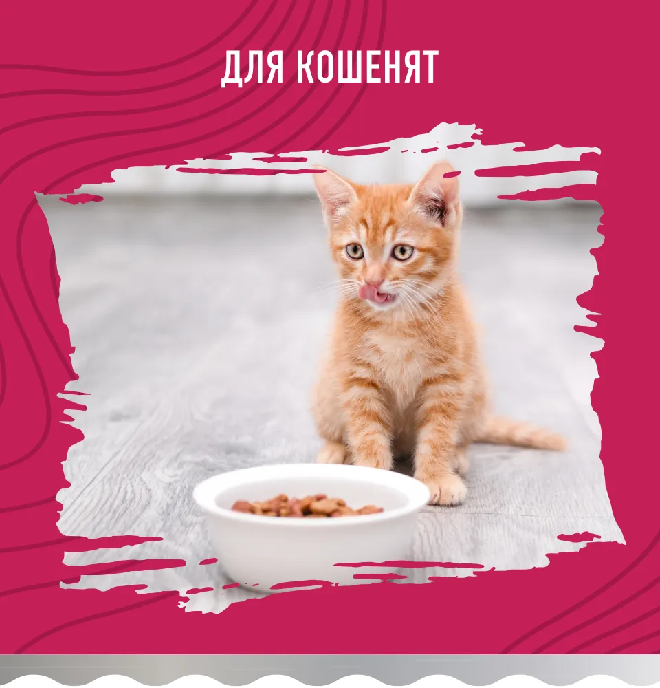 Фото 2 Bastteto Holistic