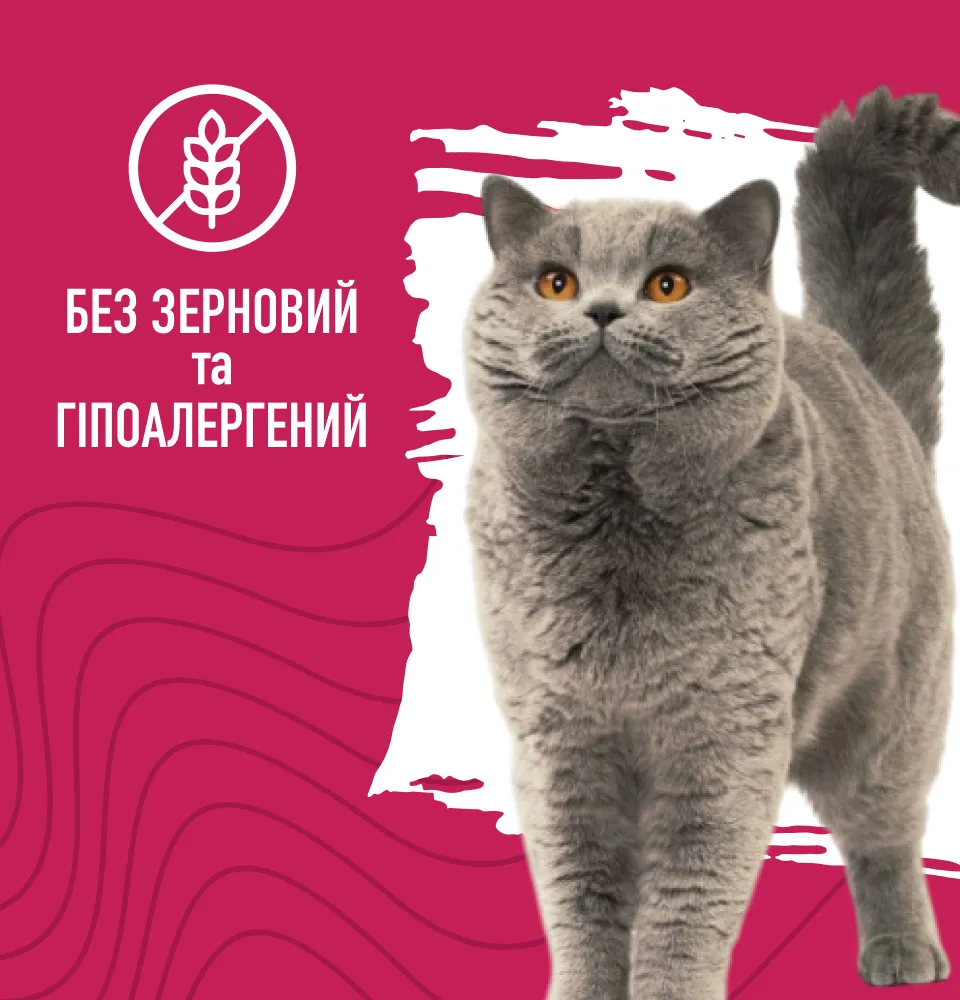 Фото 3 Bastteto Holistic