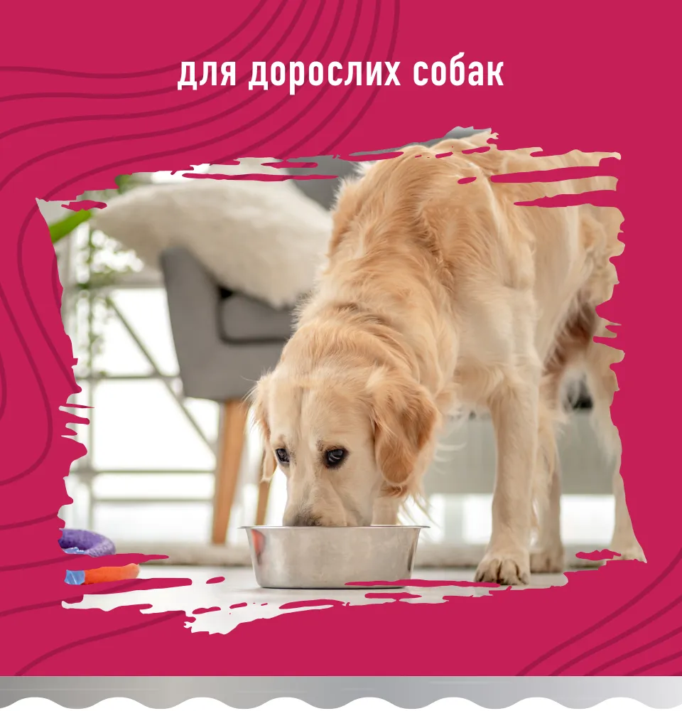 Фото 2 Bastteto Holistic