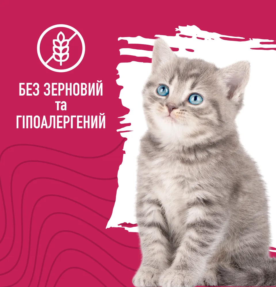 Фото 3 Bastteto Holistic