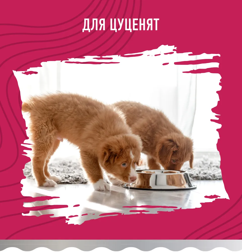 Фото 2 Bastteto Holistic