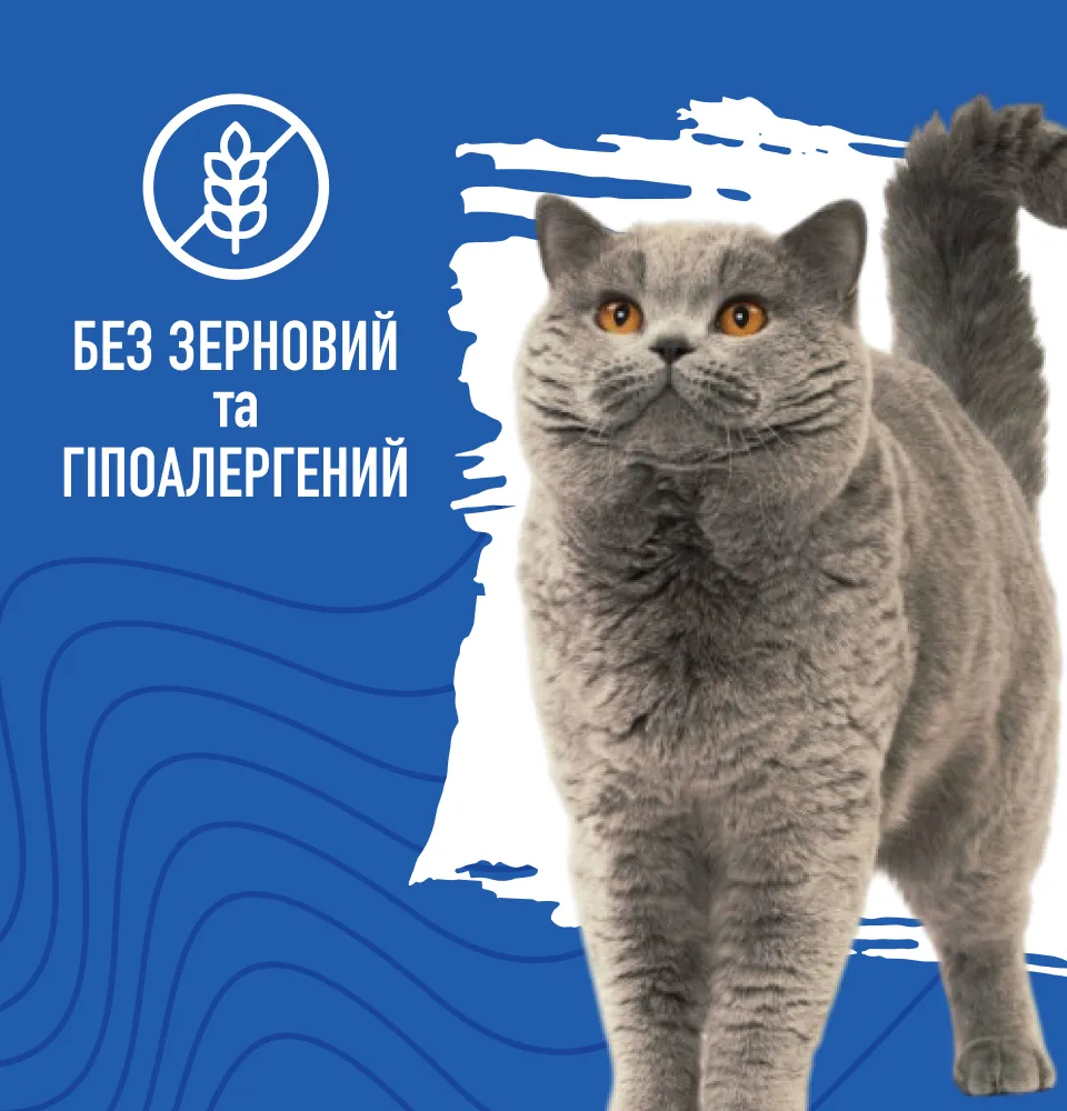 Фото 3 Bastteto Holistic