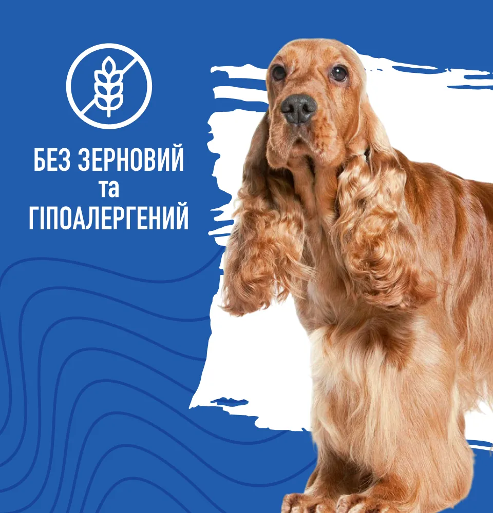 Фото 3 Bastteto Holistic