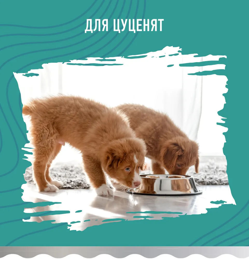 Фото 2 Bastteto Holistic