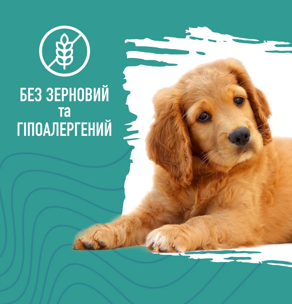 Фото 3 Bastteto Holistic