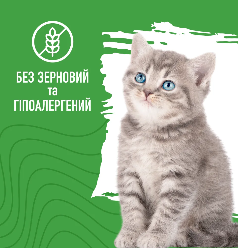 Фото 3 Bastteto Holistic