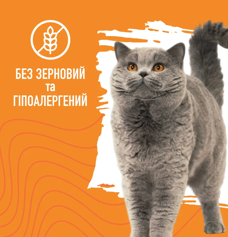 Фото 3 Bastteto Holistic