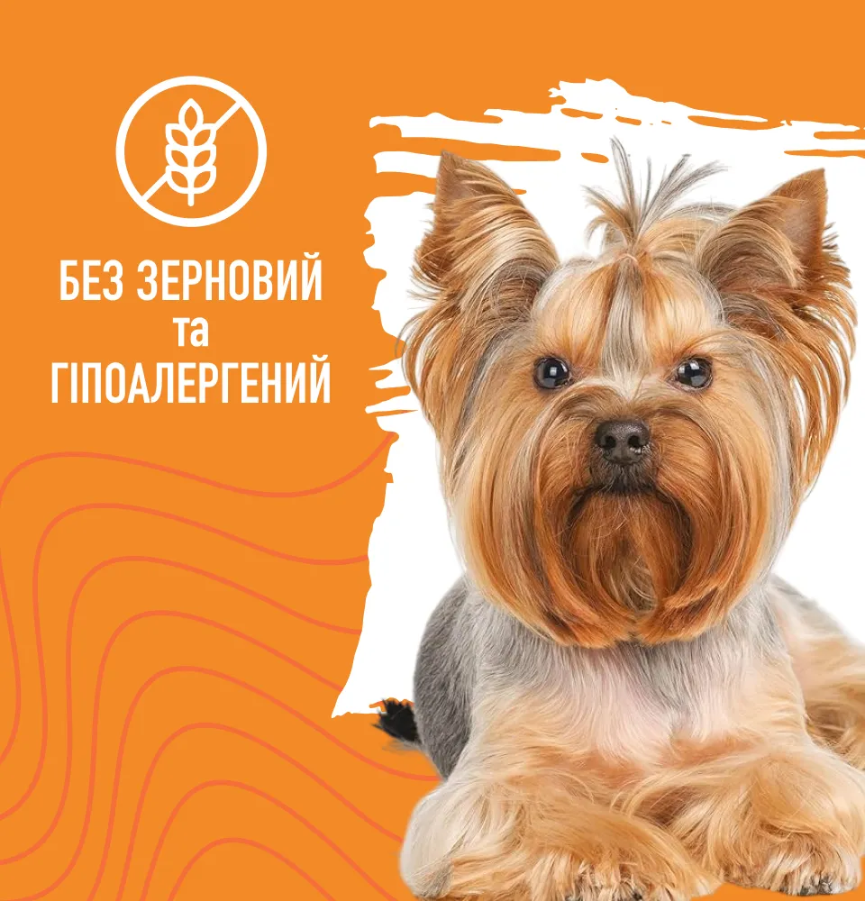 Фото 3 Bastteto Holistic