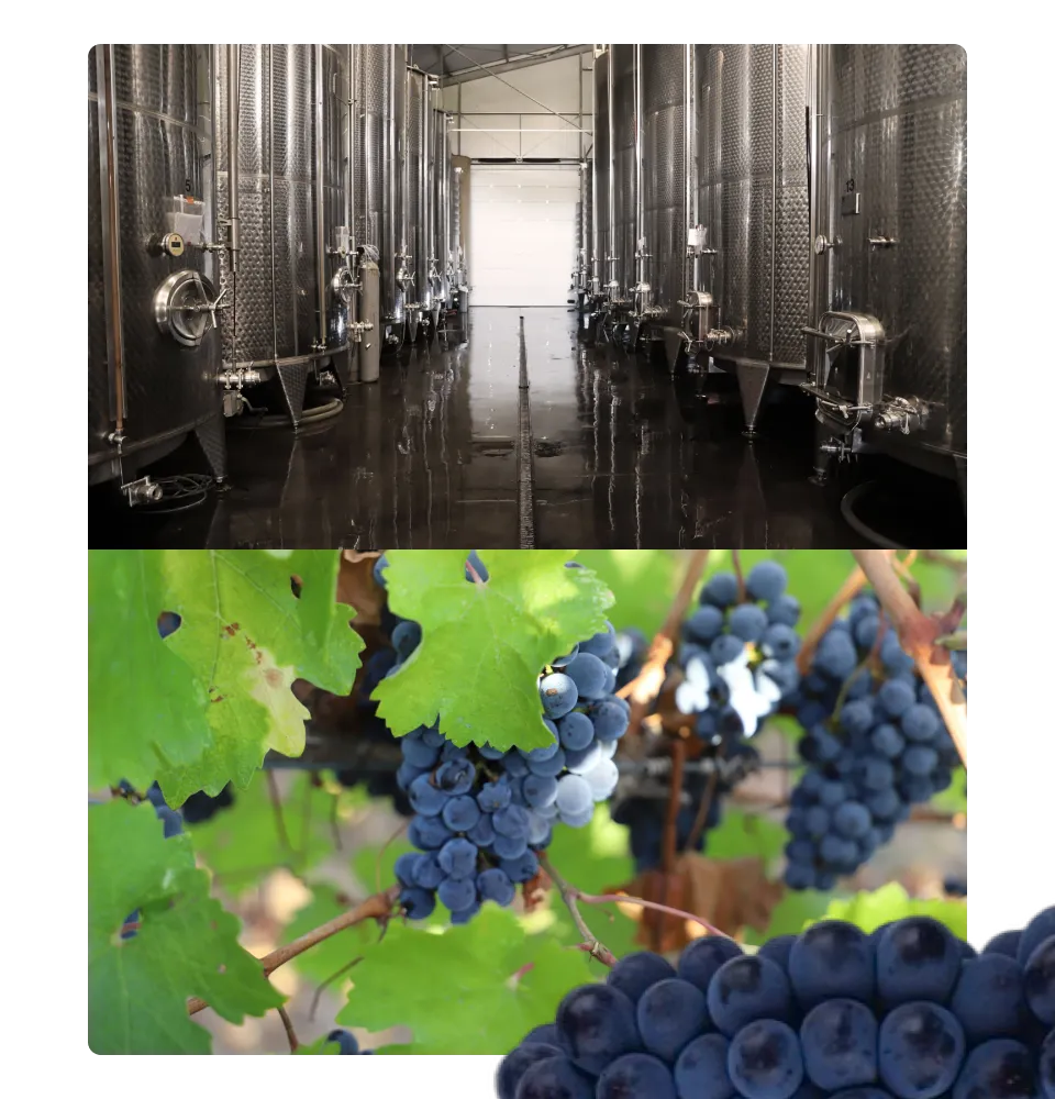 Фото 4 Bestial Cabernet Sauvignon