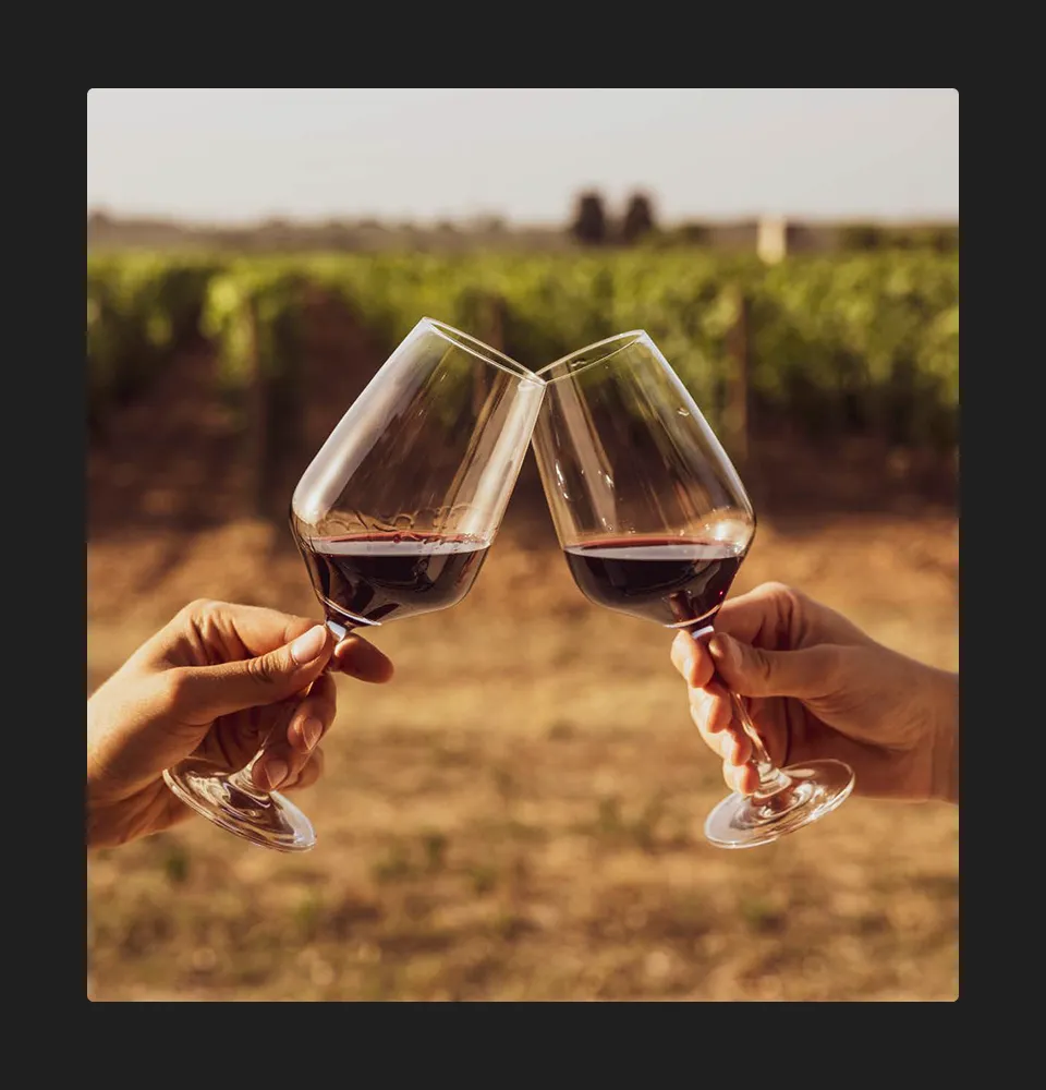 Фото 5 Bestial Syrah