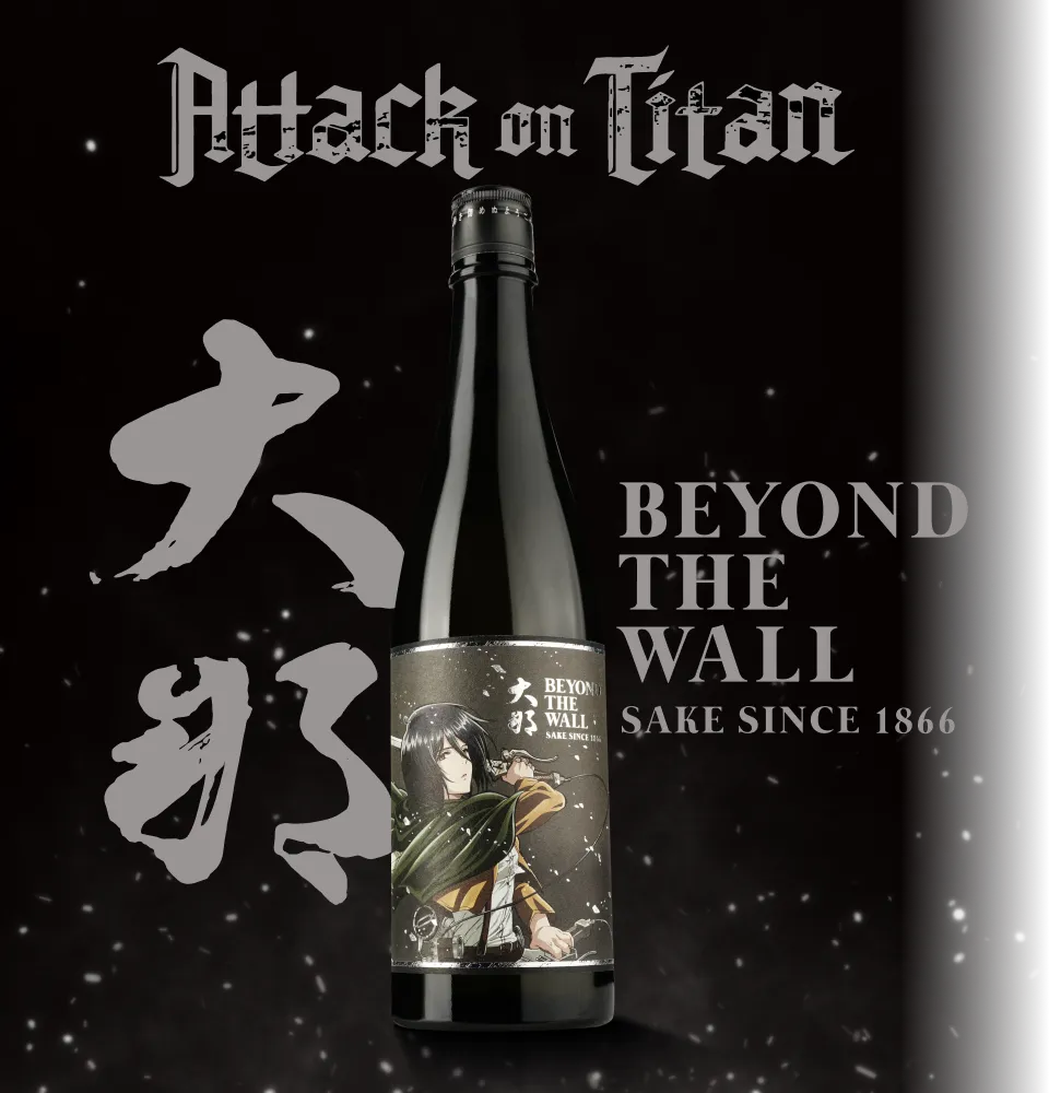 Фото 1 Daina Beyond the Wall Mikasa Label