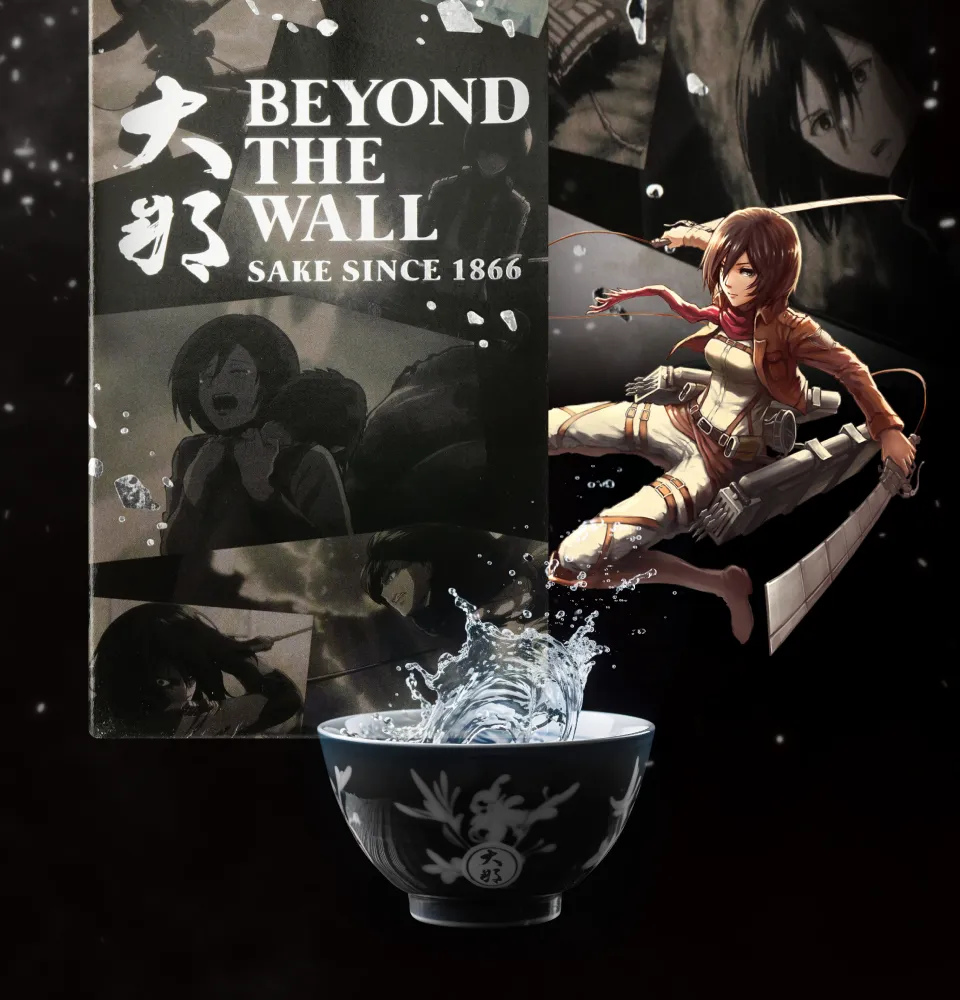 Фото 5 Daina Beyond the Wall Mikasa Label