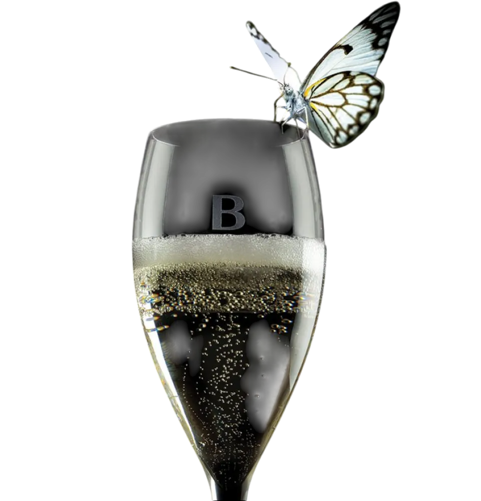 Фото 2 Bottega Millesimato Brut