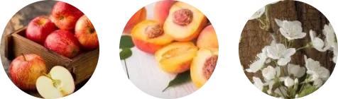 Фото 2-1 Bottega Millesimato Brut