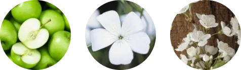 Фото 2-1 Bottega Zero White