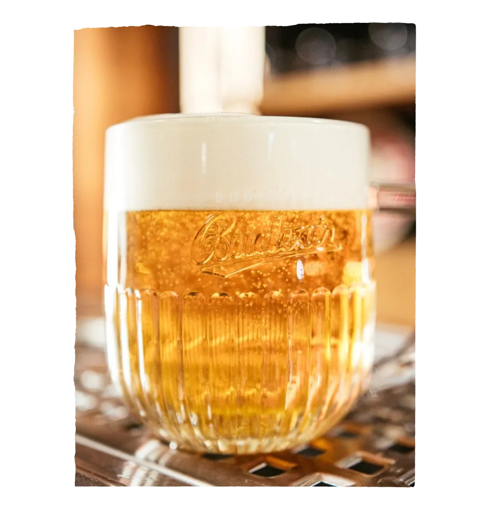 Фото 5 Budweiser Budvar Vycepni