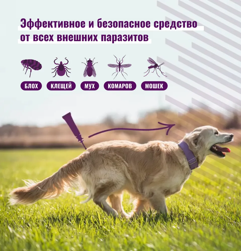 Фото 3 Вектра 3D