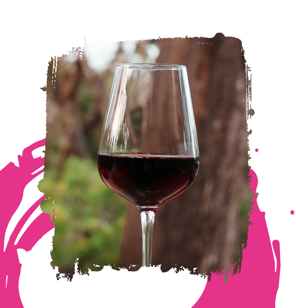 Фото 5 Chateau Laur Effronte Red Vin de France
