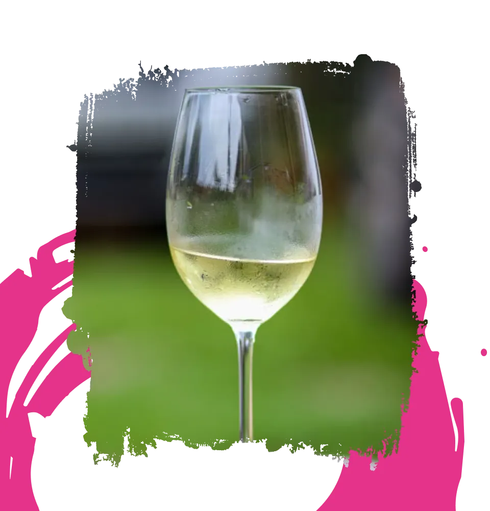Фото 5 Chateau Laur Effronte White Vin de France