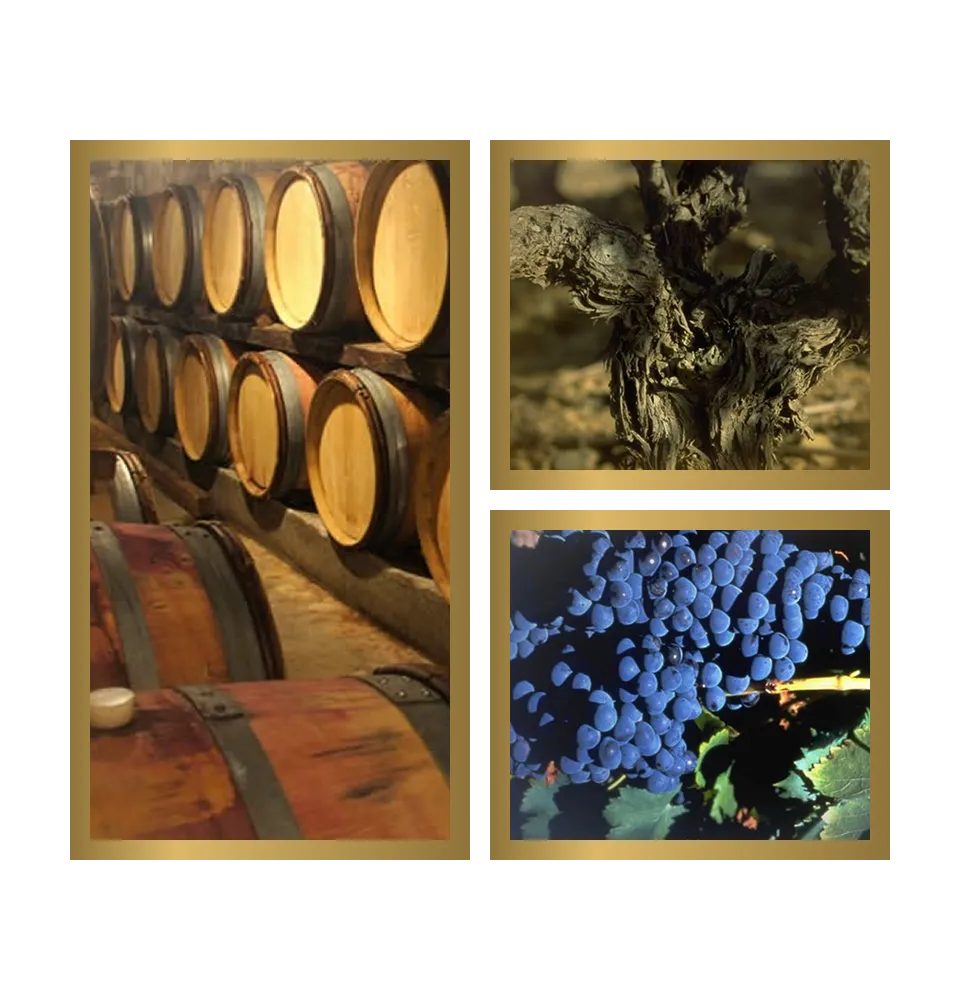 Фото 4 Chateau Planeres Cuvee Chantail Rose AOP Cotes du Roussillon