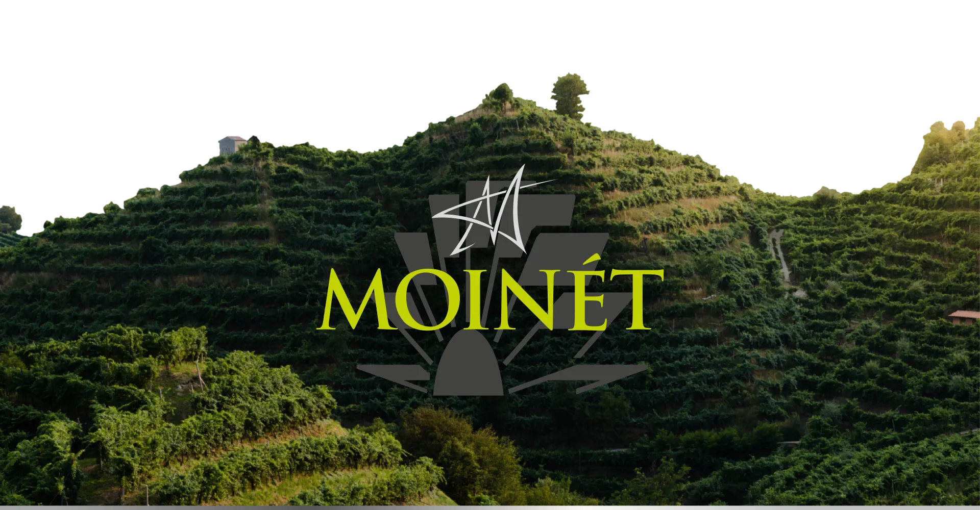 Фото 3 Contarini Moinet Blanc De Blancs Millesimato Extra Dry