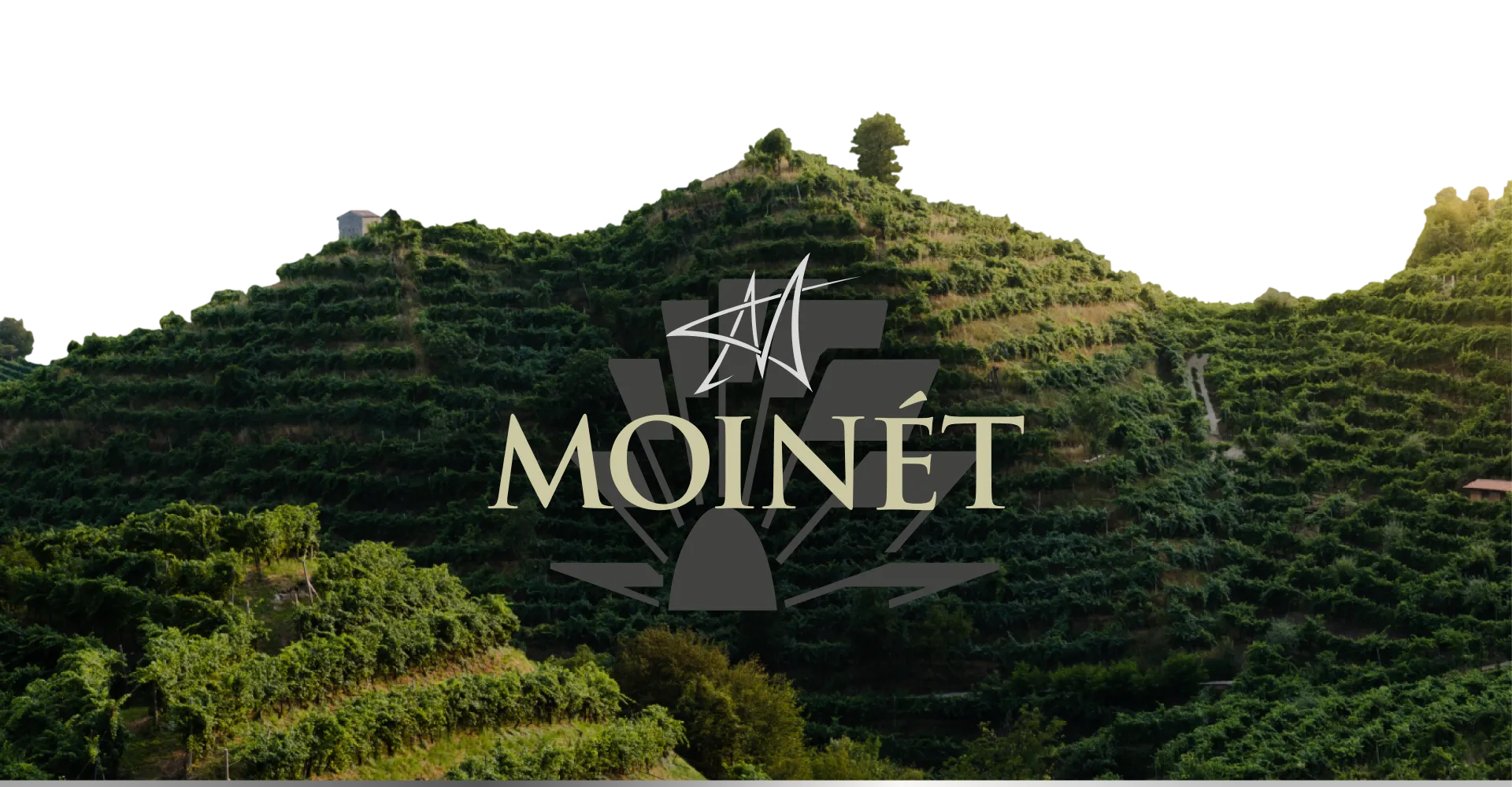 Фото 3 Contarini Moinet Prosecco D.O.C. Extra Dry